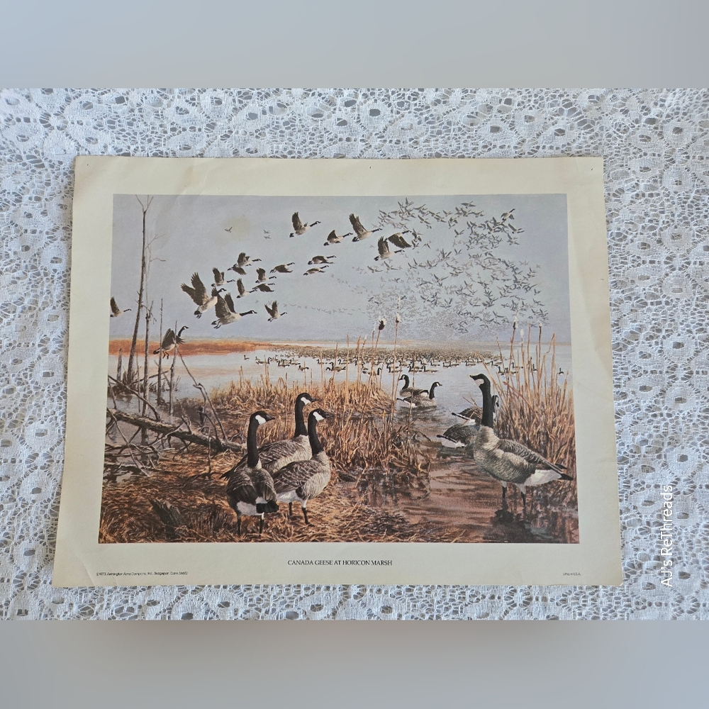 Vintage “Canadian Geese at Horicon Marsh” Wildlife Art Print – 14x11